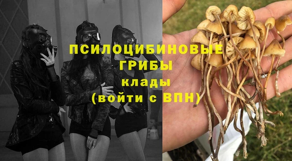 Альфа ПВП Алексин